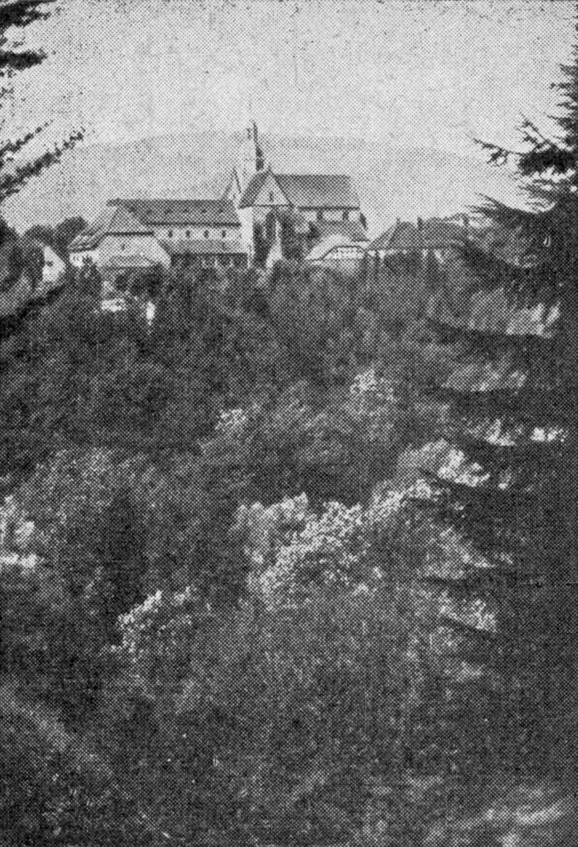 Klosterkirche Amelungsborn bei Eschershausen